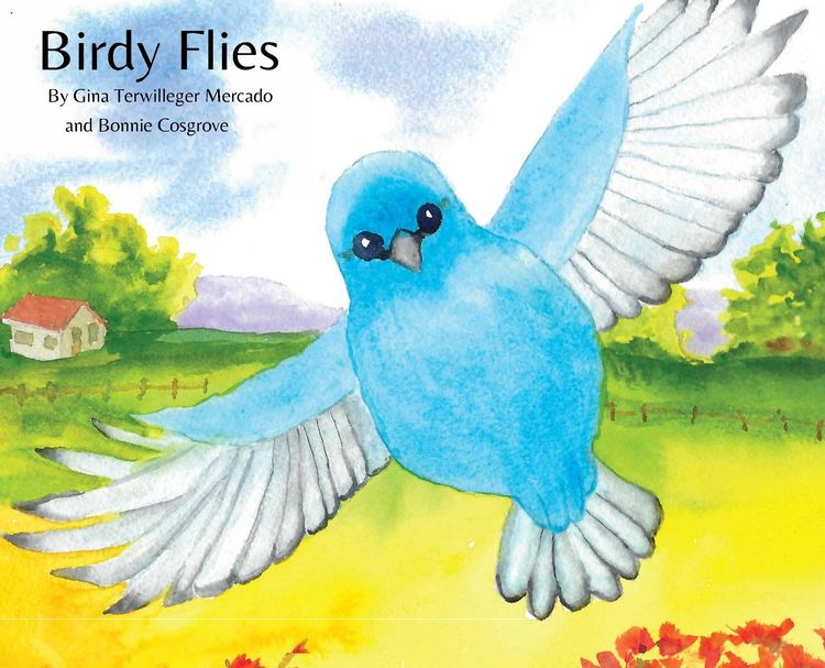 Produktbild: Birdy Flies