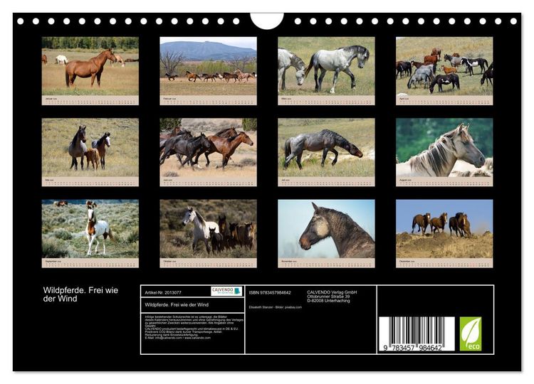Produktbild: Wildpferde. Frei wie der Wind (Wandkalender 2026 DIN A4 quer), CALVENDO Monatskalender