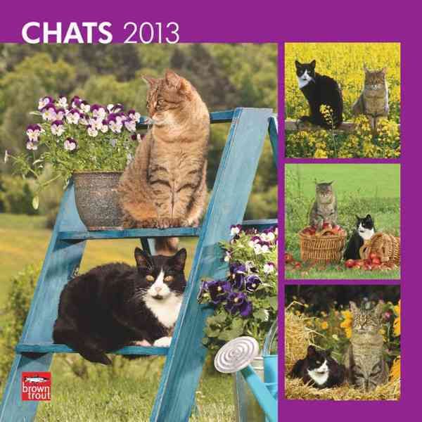 Produktbild: Chats 2013 Calendar