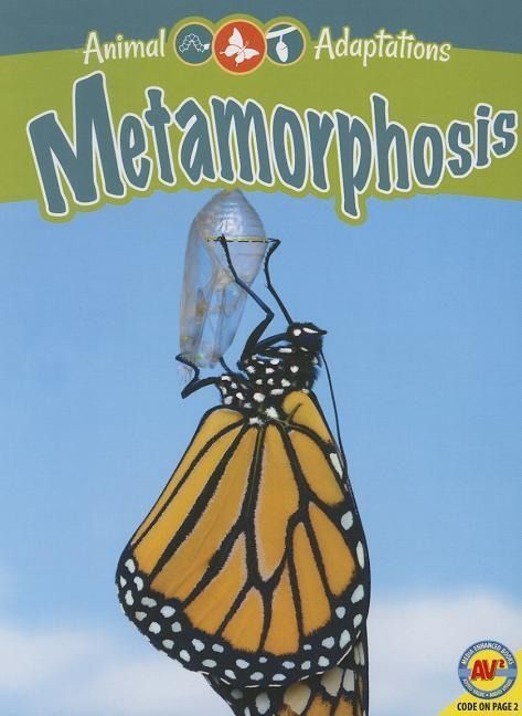 Produktbild: Metamorphosis