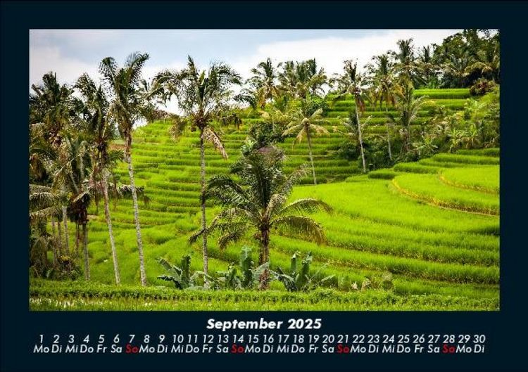 Produktbild: Palmentraum 2025 Fotokalender DIN A5