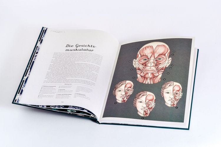 Produktbild: Das Museum des K&ouml;rpers