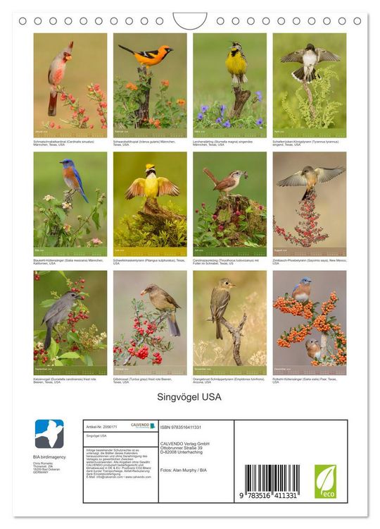 Produktbild: Singv&ouml;gel USA (Wandkalender 2026 DIN A4 hoch), CALVENDO Monatskalender