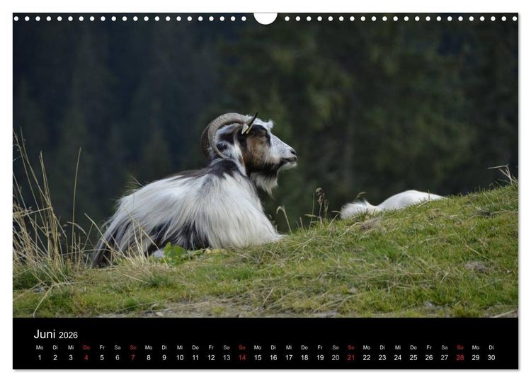 Produktbild: Maramures - Rum&auml;niens zeitloser Norden (Wandkalender 2026 DIN A3 quer), CALVENDO Monatskalender