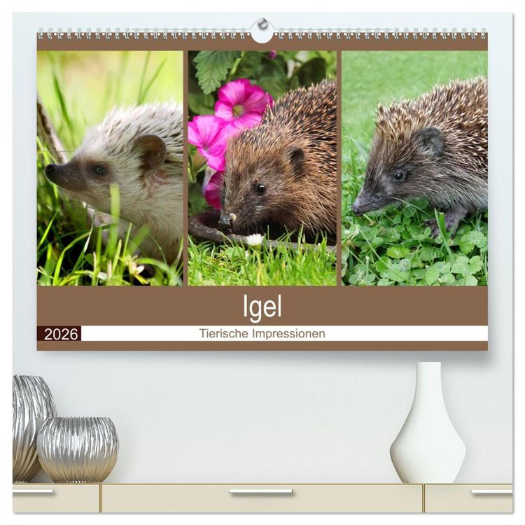 Produktbild: Igel 2026. Tierische Impressionen (hochwertiger Premium Wandkalender 2026 DIN A2 quer), Kunstdruck in Hochglanz