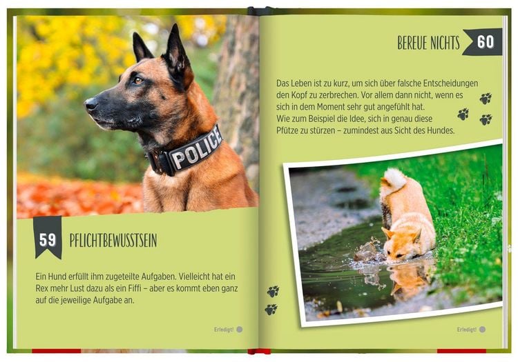 Produktbild: 100 Dinge, die man von einem Hund lernen kann