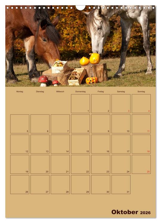 Produktbild: Pferde Gute Freunde (Wandkalender 2026 DIN A3 hoch), CALVENDO Monatskalender