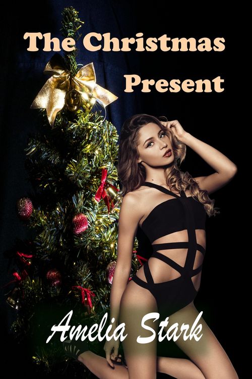 Produktbild: The Christmas Present - An Erotic Short Story (Christmas themed Books and Series, #0)