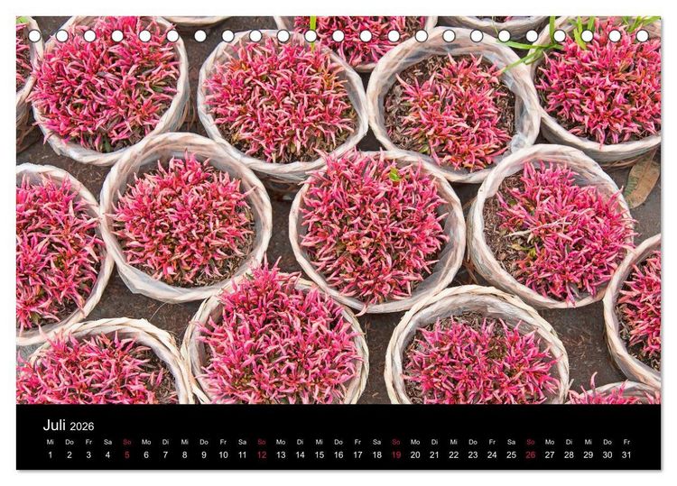 Produktbild: Das Mekong-Delta (Tischkalender 2026 DIN A5 quer), CALVENDO Monatskalender