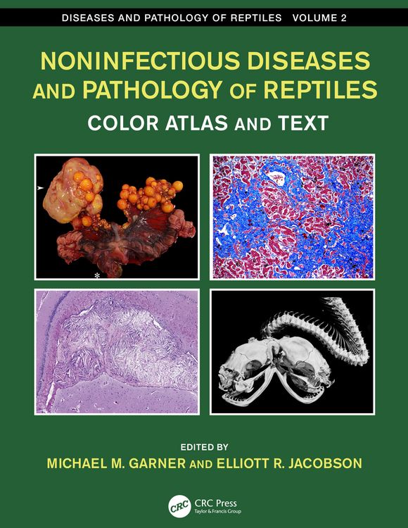 Produktbild: Noninfectious Diseases and Pathology of Reptiles