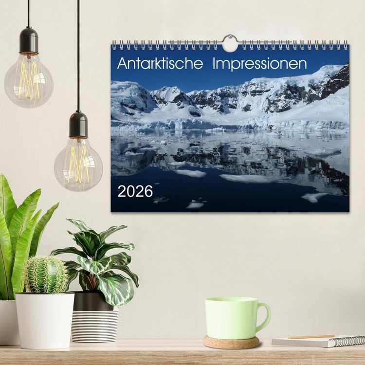 Produktbild: Antarktische Impressionen (Wandkalender 2026 DIN A4 quer), CALVENDO Monatskalender