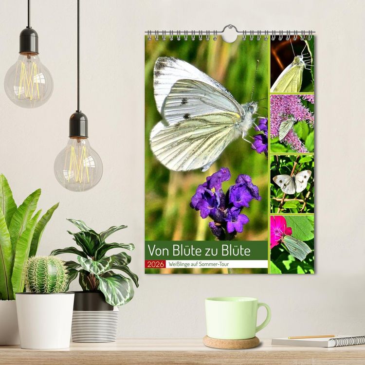 Produktbild: Von Bl&uuml;te zu Bl&uuml;te - Wei&szlig;linge auf Sommer-Tour (Wandkalender 2026 DIN A4 hoch), CALVENDO Monatskalender