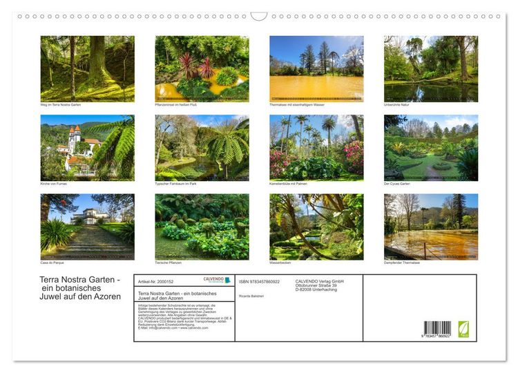 Produktbild: Terra Nostra Garten - ein botanisches Juwel auf den Azoren (Wandkalender 2026 DIN A2 quer), CALVENDO Monatskalender