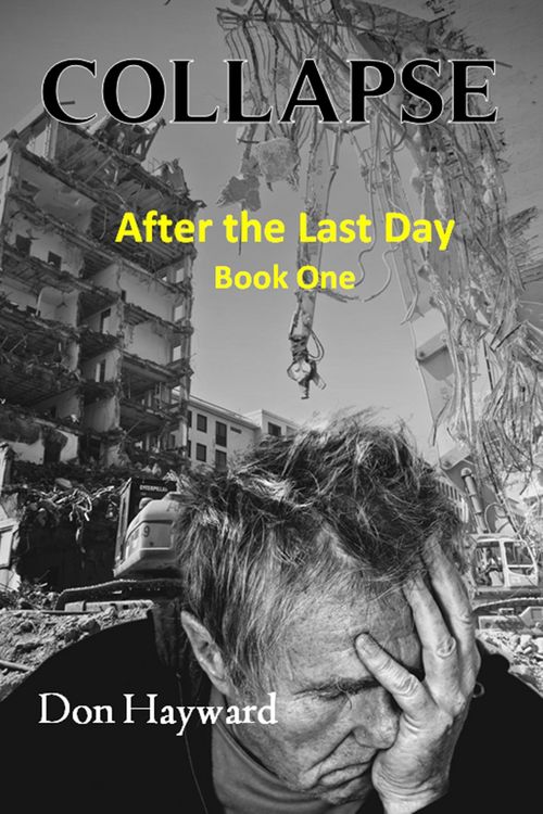 Produktbild: Collapse: After the Last Day Book One