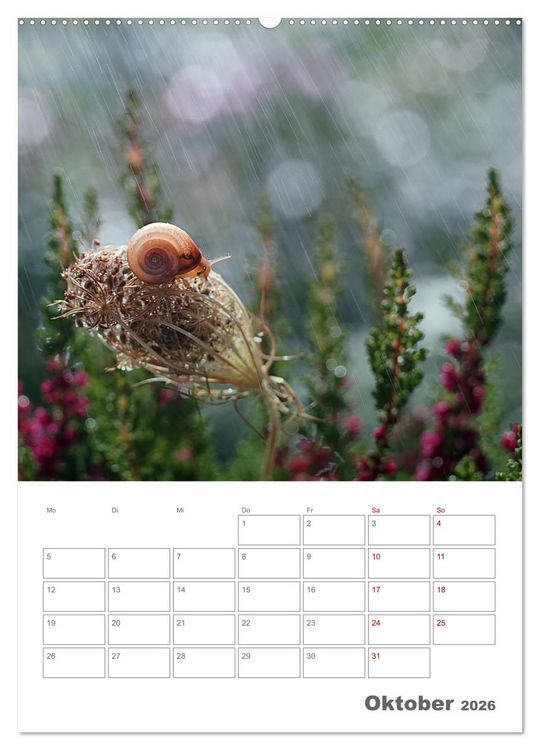 Produktbild: Helden in der Natur (Wandkalender 2026 DIN A2 hoch), CALVENDO Monatskalender