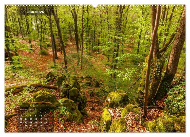 Produktbild: Zauberhafte Waldlandschaften (Wandkalender 2026 DIN A2 quer), CALVENDO Monatskalender