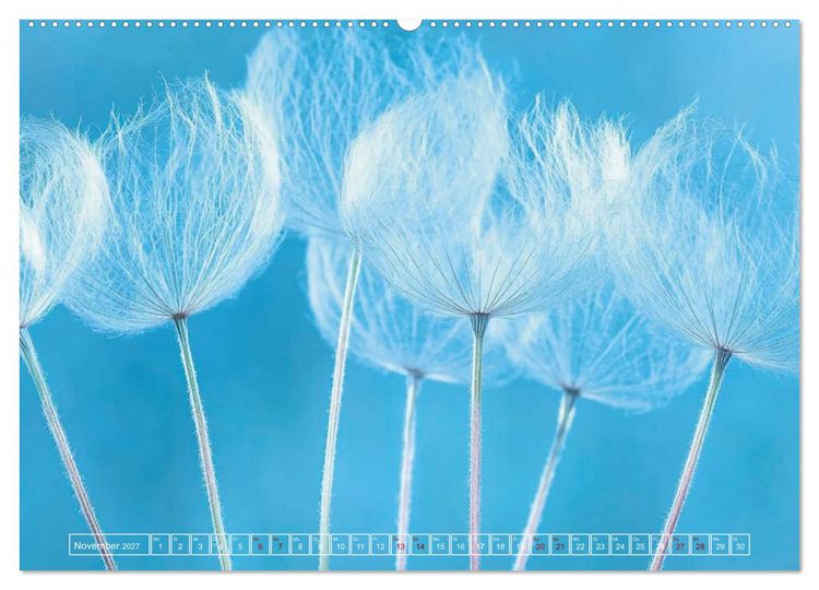 Produktbild: Lichtspiele der Natur (Wandkalender 2027 DIN A2 quer), CALVENDO Monatskalender