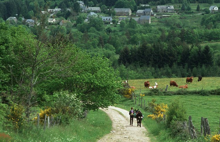 Produktbild: Esel - Wanderungen im Limousin