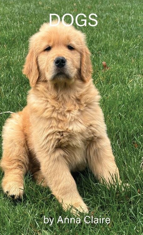 Produktbild: Dogs