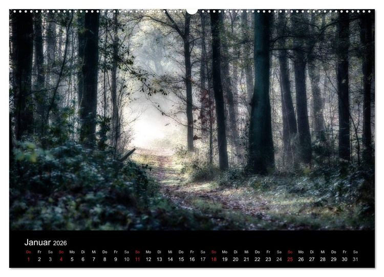 Produktbild: Mystische W&auml;lder (hochwertiger Premium Wandkalender 2026 DIN A2 quer), Kunstdruck in Hochglanz