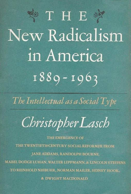 Produktbild: New Radicalism in America