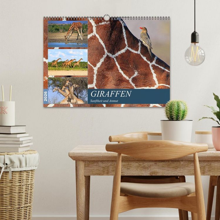 Produktbild: Giraffen - Sanftheit und Anmut (Wandkalender 2026 DIN A3 quer), CALVENDO Monatskalender