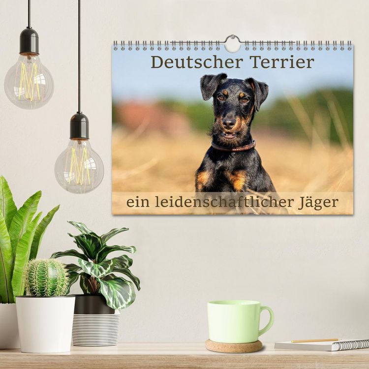 Produktbild: Deutscher Terrier - ein leidenschaftlicher J&auml;ger (Wandkalender 2026 DIN A4 quer), CALVENDO Monatskalender