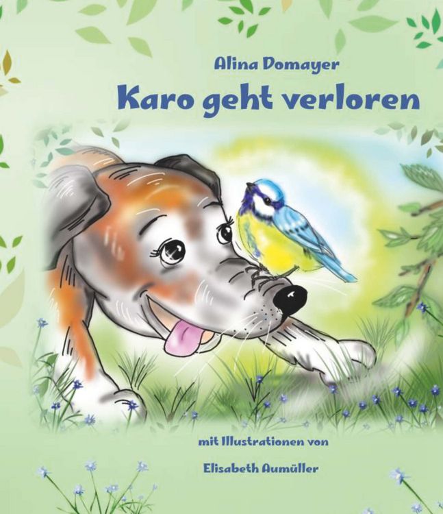 Produktbild: Karo geht verloren