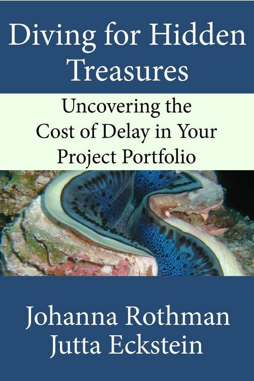 Produktbild: Diving for Hidden Treasures: Uncovering the Cost of Delay in Your Project Portfoilo