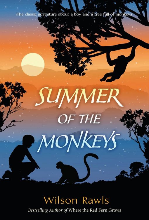Produktbild: Summer of the Monkeys