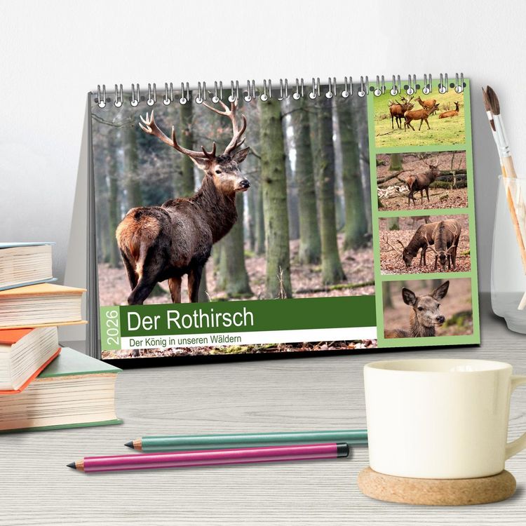 Produktbild: Der Rothirsch - Der K&ouml;nig in unseren W&auml;ldern (Tischkalender 2026 DIN A5 quer), CALVENDO Monatskalender