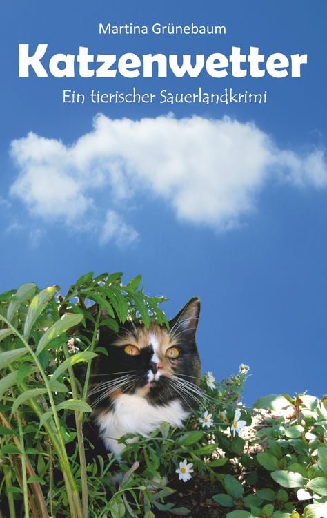 Produktbild: Katzenwetter