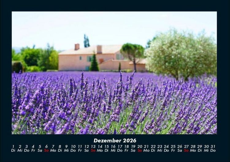 Produktbild: Blumentr&auml;ume 2026 Fotokalender DIN A4