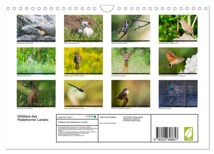 Produktbild: Wildtiere des Paderborner Landes (Wandkalender 2026 DIN A4 quer), CALVENDO Monatskalender