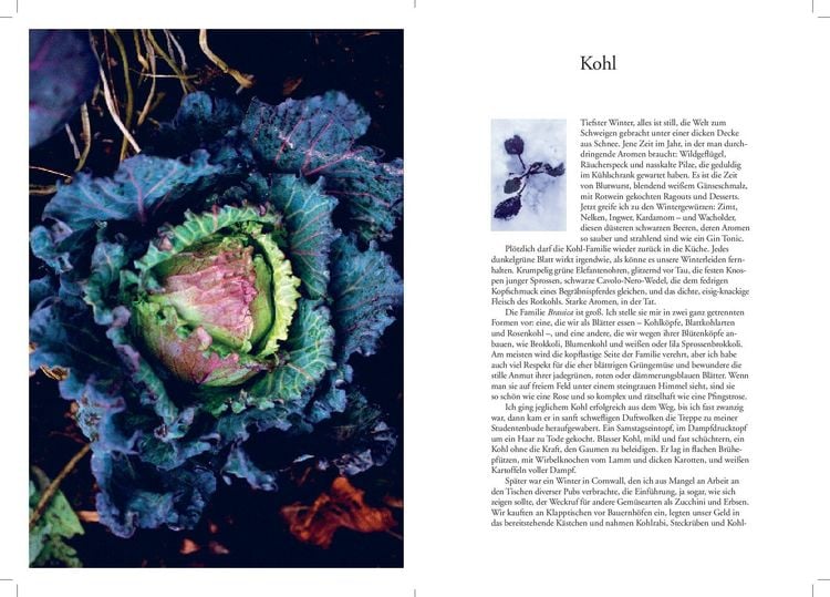 Produktbild: Tender. Gem&uuml;se