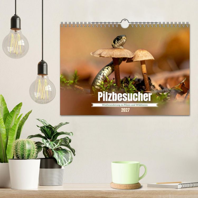 Produktbild: Pilzbesucher (Wandkalender 2027 DIN A4 quer), CALVENDO Monatskalender