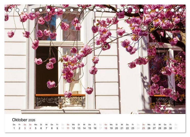 Produktbild: Bonn - Kirschbl&uuml;tenfest in der Altstadt (Tischkalender 2026 DIN A5 quer), CALVENDO Monatskalender
