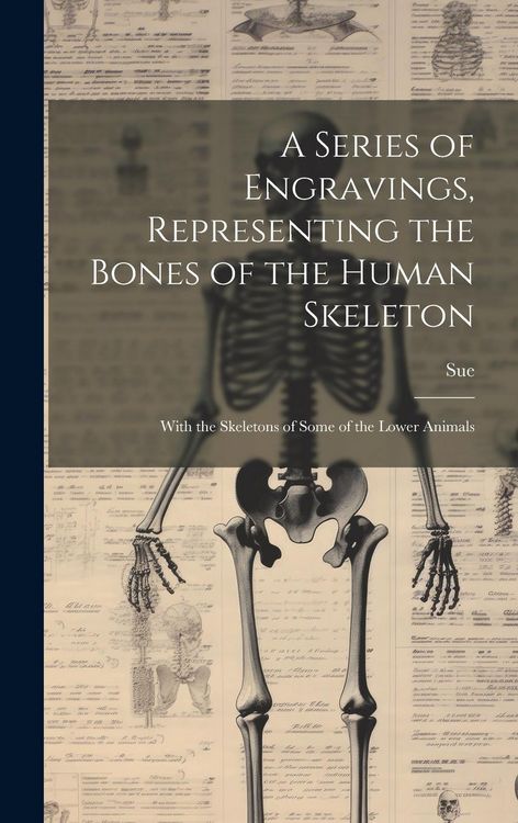 Produktbild: A Series of Engravings, Representing the Bones of the Human Skeleton