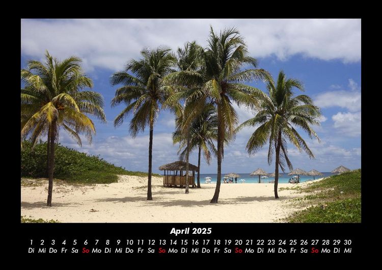 Produktbild: Palmentraum 2025 Fotokalender DIN A3