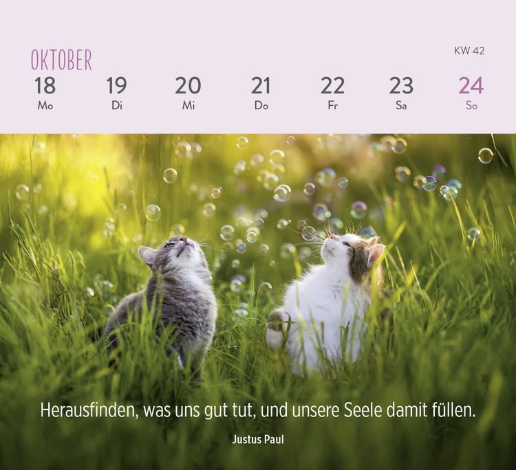 Produktbild: Mini-Wochenkalender 2027: F&uuml;r Katzenfreunde