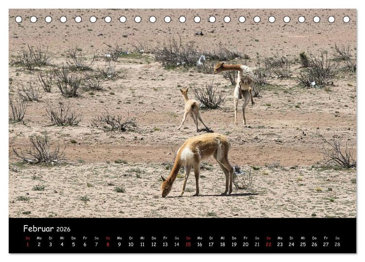 Produktbild: Traumziel Peru (Tischkalender 2026 DIN A5 quer), CALVENDO Monatskalender