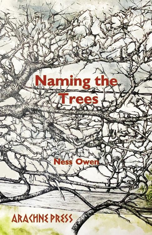 Produktbild: Naming The Trees