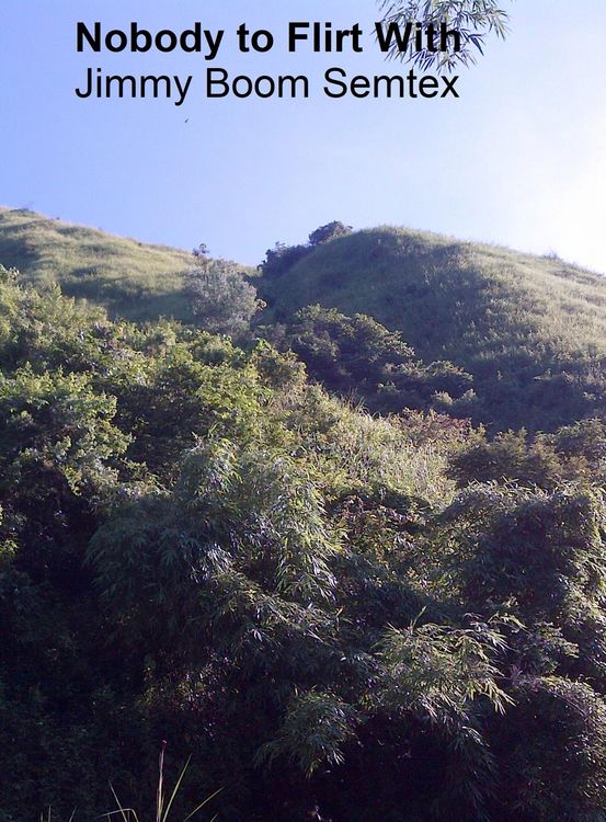 Produktbild: Nobody to Flirt With