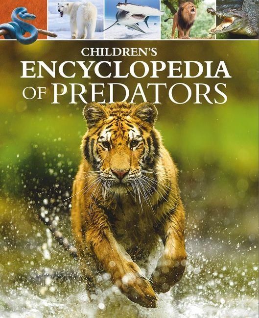 Produktbild: Children's Encyclopedia of Predators