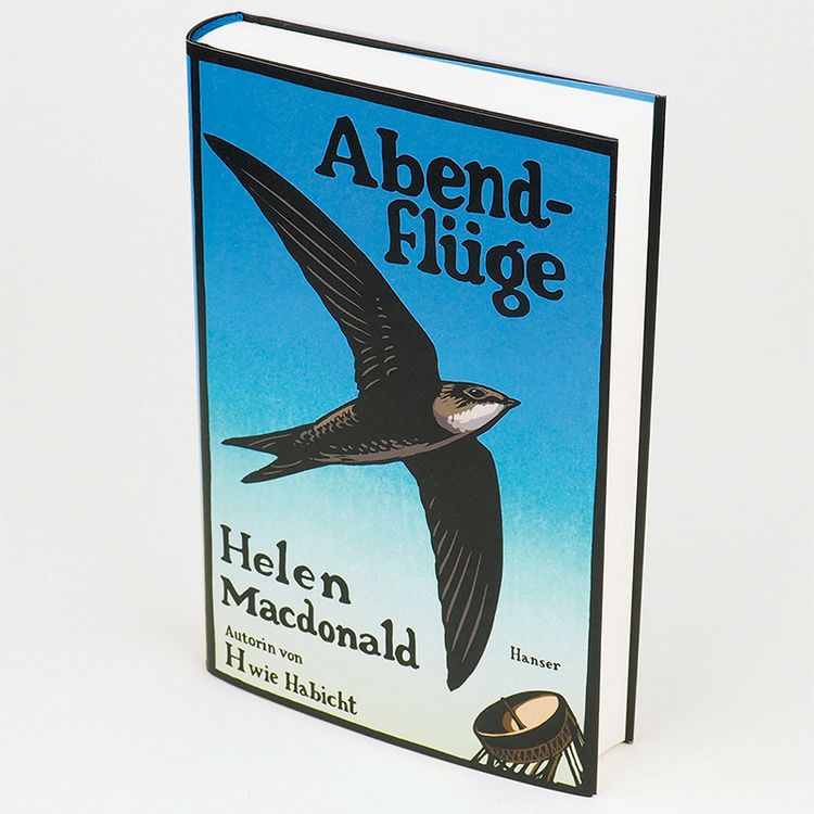 Produktbild: Abendfl&uuml;ge