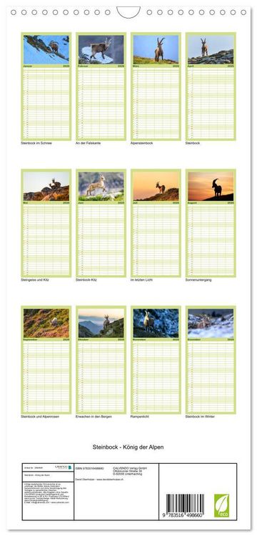 Produktbild: Familienplaner 2026 - Steinbock - K&ouml;nig der Alpen mit 5 Spalten (Wandkalender, 21 x 45 cm) CALVENDO