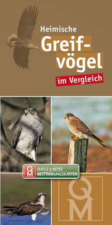 Produktbild: Greifv&ouml;gel