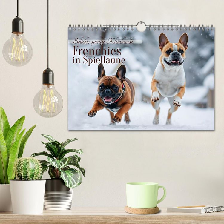 Produktbild: Frenchies in Spiellaune (Wandkalender 2026 DIN A4 quer), CALVENDO Monatskalender