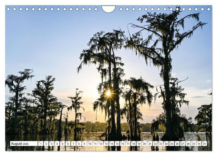 Produktbild: Louisiana - S&uuml;mpfe und Plantagenh&auml;user (Wandkalender 2026 DIN A4 quer), CALVENDO Monatskalender