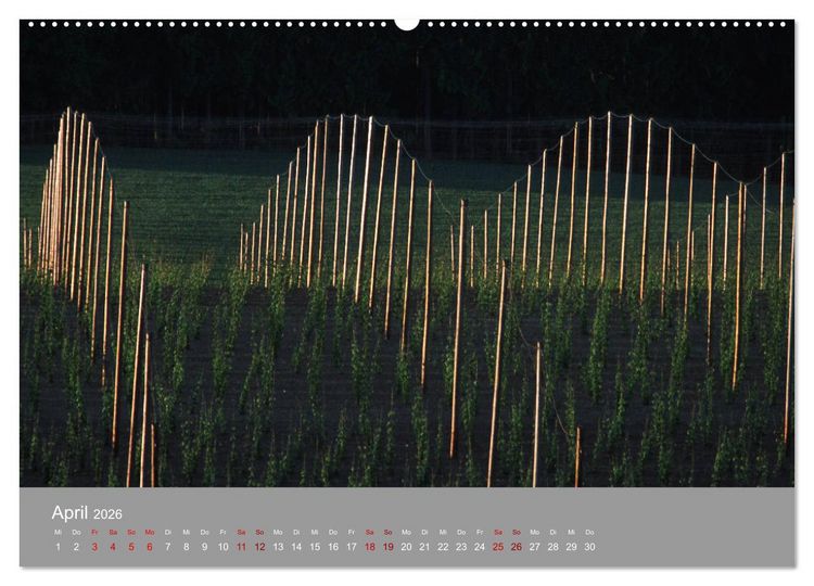 Produktbild: Hallertau (Wandkalender 2026 DIN A2 quer), CALVENDO Monatskalender